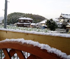 ♪なごり～雪～も・・・・・って歌を歌う